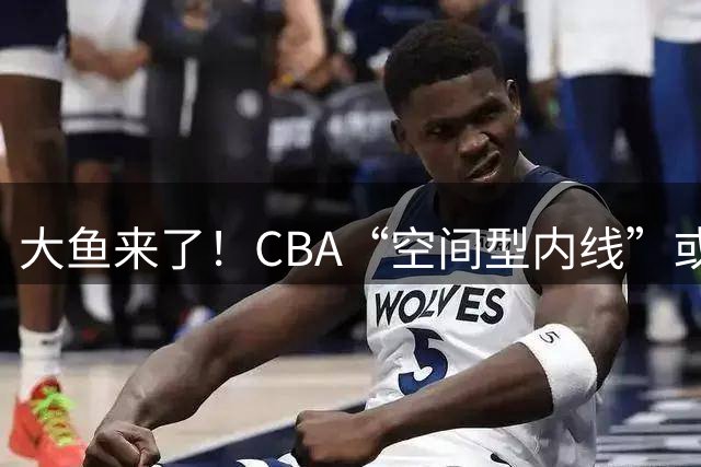 大鱼来了！CBA“空间型内线”或加盟广东队，保底能进总决赛？